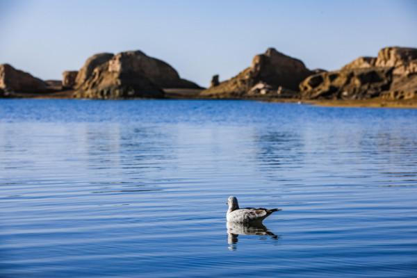 自駕穿越西北環線精華路段,5天4夜玩遍網紅景點,國慶就能去度假 自駕穿越西北環線精華路段,5天4夜玩遍網紅景點,國慶就能去度假