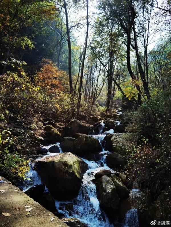 央視主播胡蝶罕曬娃，兒子5歲太像爸爸，老公陸川在家忙帶二胎