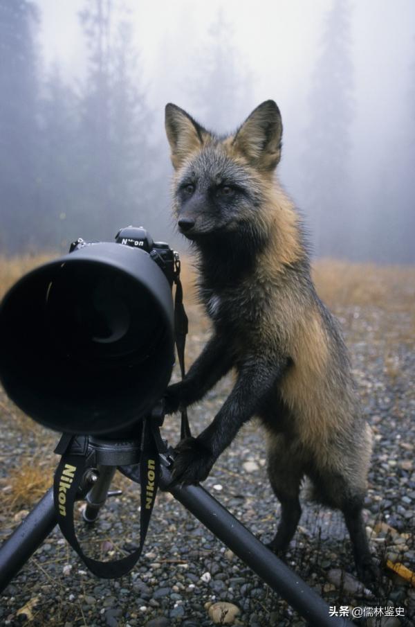 這才是哥倫比亞,南美洲一顆璀璨的星 這才是哥倫比亞,南美洲一顆璀璨的星
