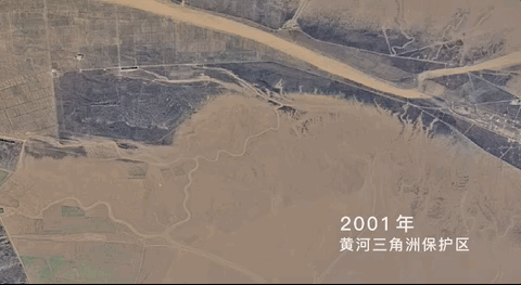 資料揭秘多樣性背後的秘密——鳥為啥越來越多