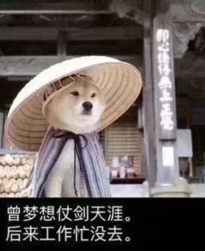 海外夫妻檔萌新聯手幹翻老玩家佈局？當少年俠客遇上三國