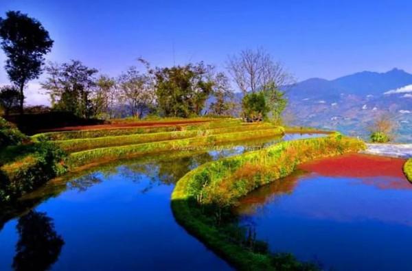 分享圖片——雲南風景如畫，美麗動人