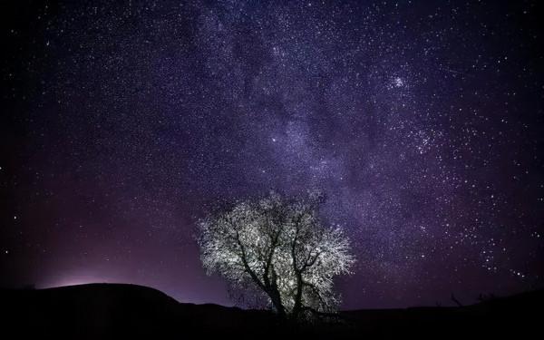 太美了!中國10大冬景旅行地,每個都各有特色,你去過幾個? 太美了!中國10大冬景旅行地,每個都各有特色,你去過幾個?