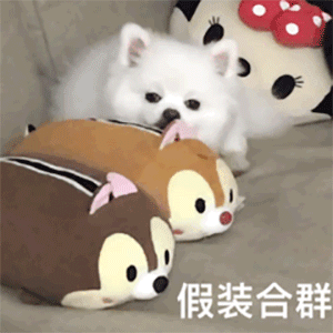 高考中，雙胞胎可以替考？看了那些反作弊的黑科技後，我勸你冷靜