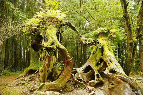 中國古今十之最,長見識了! 中國古今十之最,長見識了!