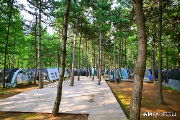 國慶遊房山（五）：蘑菇宴、大氧吧…讓我們來一場神仙之旅！