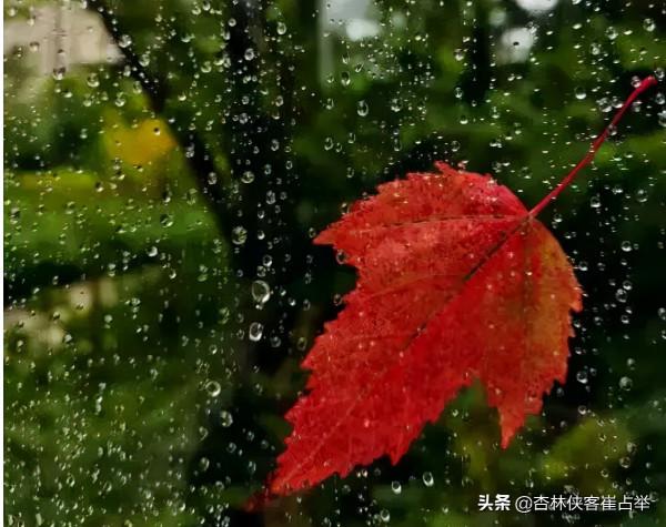 今天不講中醫，給大家分享一個小故事，聽後可能會改變你的生活