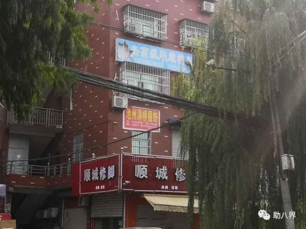 新物種┃犀牛智造:阿里巴巴意欲何為​? 新物種┃犀牛智造:阿里巴巴意欲何為​?