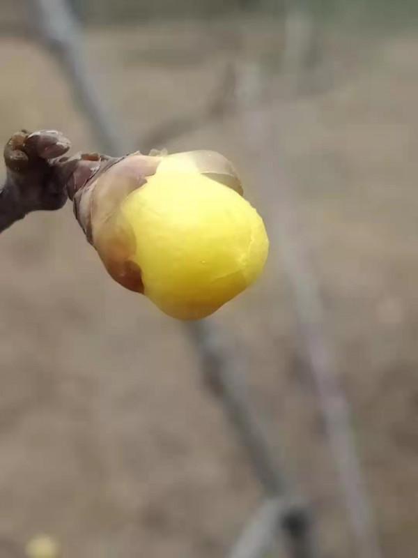 匹配的就是最好的