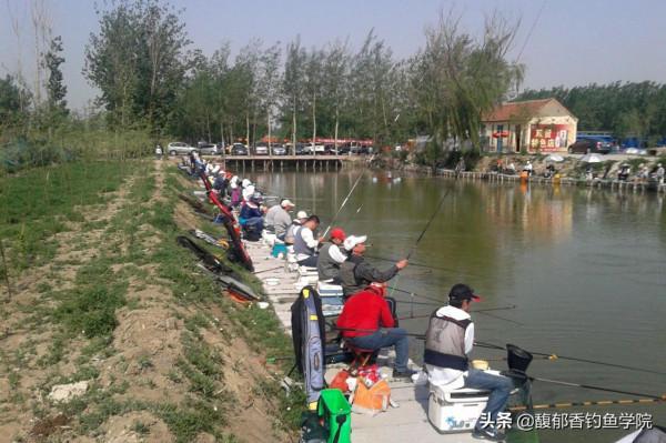 釣魚時魚沒活力，魚不愛開口怎麼辦？讓魚口變好且充滿活力的方法