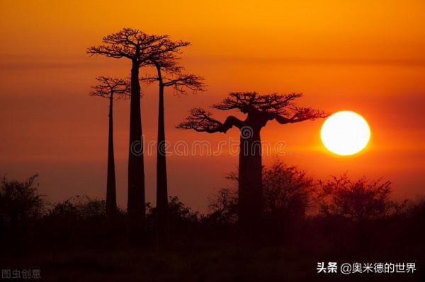 非洲唯一黃面板國家“馬達加斯加”的20個冷知識，你知道幾個？