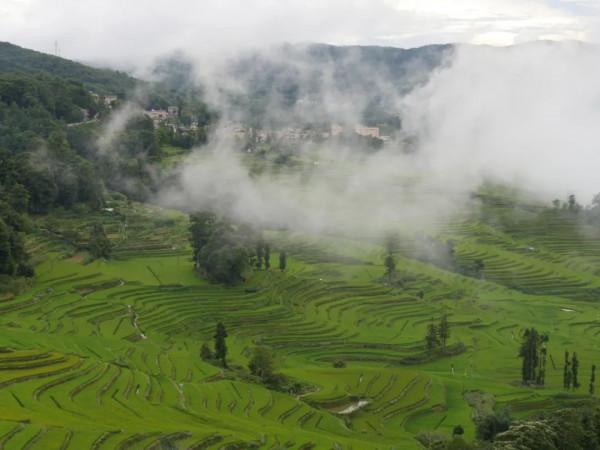 《國家地理》公佈“2022世界最佳旅遊目的地”,中國景邁山上榜 《國家地理》公佈“2022世界最佳旅遊目的地”,中國景邁山上榜