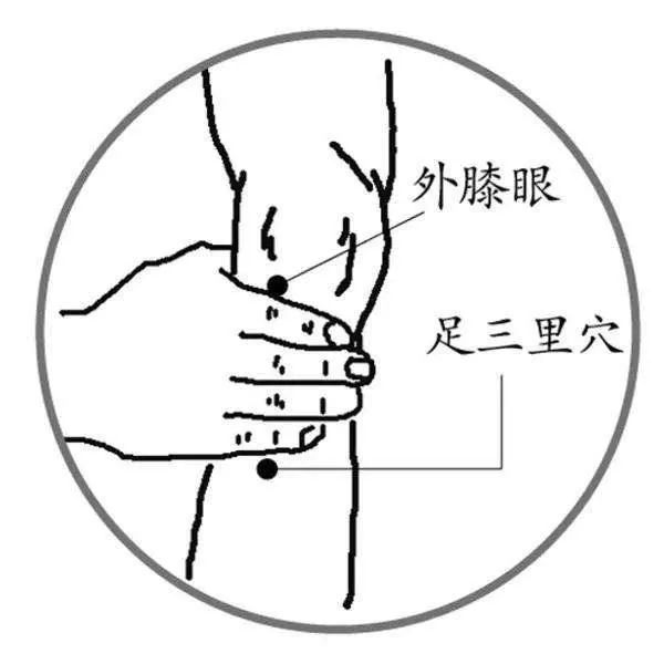 寒冬護養脾胃，推薦兩湯四穴