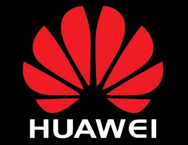 薇婭與聯想到底是怎麼回事？