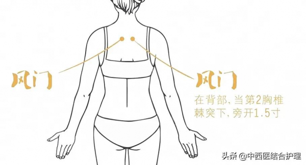 「經絡穴位養生科普」預防百種慢性疾病的妙法