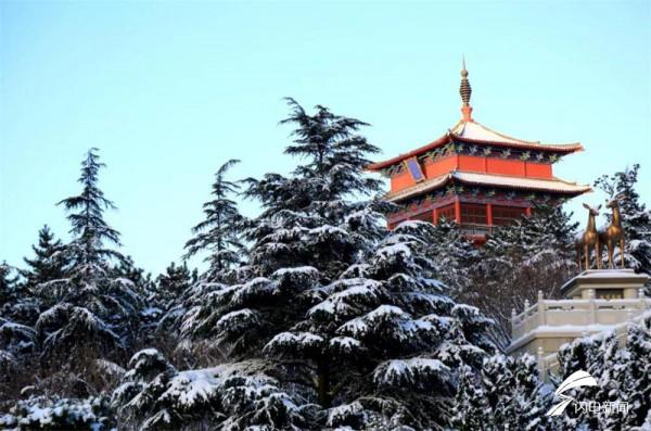 雪花一落，威海赤山就美成了故宮