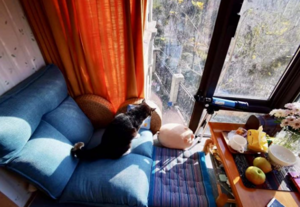 為什麼，親戚說&OpenCurlyDoubleQuote;買東不買西&rdquo;，懂行人卻說&OpenCurlyDoubleQuote;聰明人都買西戶&rdquo;？