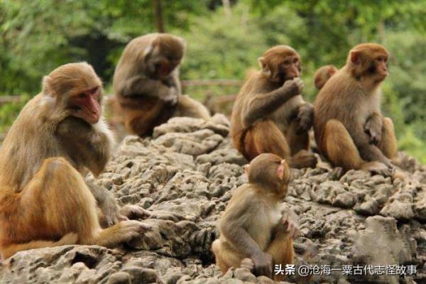 古代故事：奇人異事七則