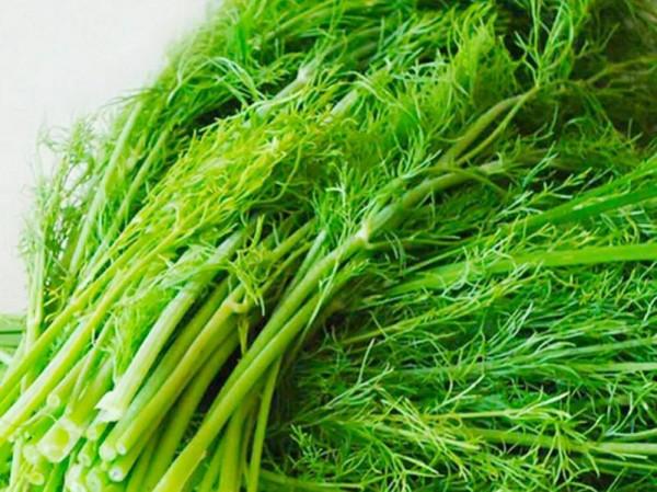 霜降將至，女人記得吃10種食物，含有天然葉酸，價格也不高