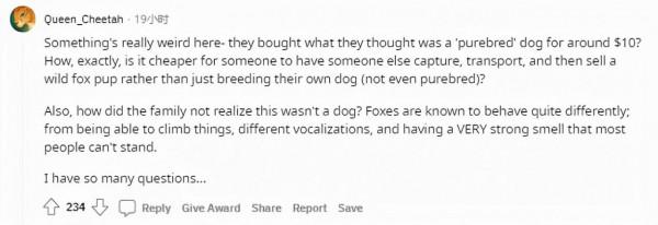 秘魯女子的寵物&quot;狗&quot;總獵殺鄰居家雞鴨，長大一看，這不是狐狸嗎？