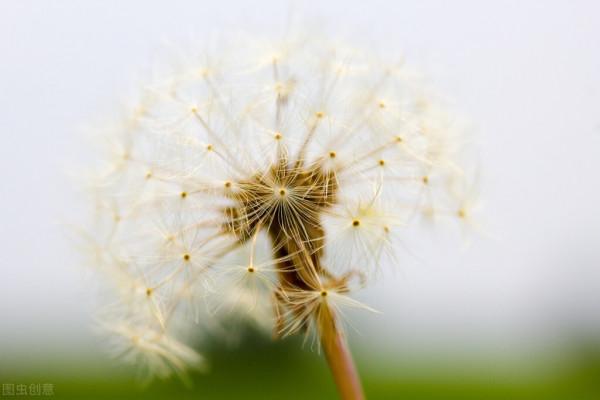 中醫講肝病,肝病的辯證論治 中醫講肝病,肝病的辯證論治