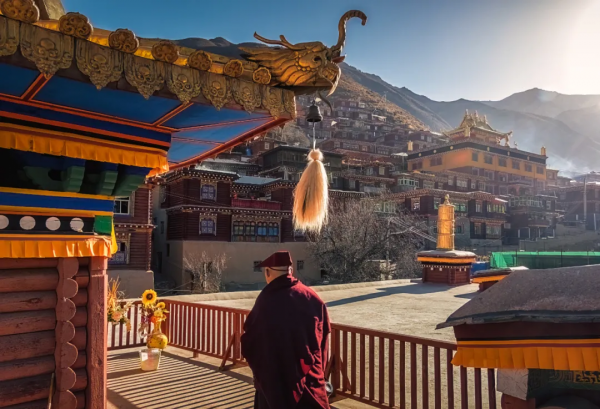 川藏南北線看花，追逐中國最美的春天