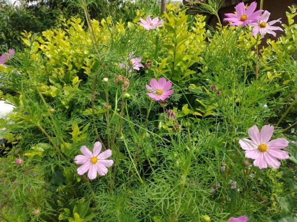 過年的時候離開了家，為債權人、為家庭、為自己