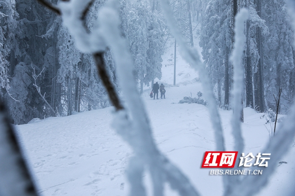 醉美！在冰雪世界裡，領略到了冬日限量版最美西晃山