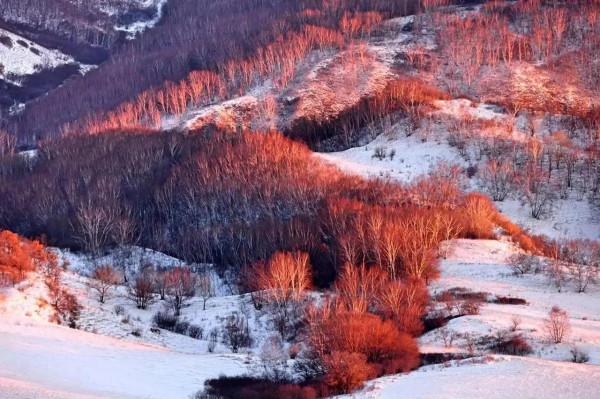 風景無處不在，何必捨近求遠