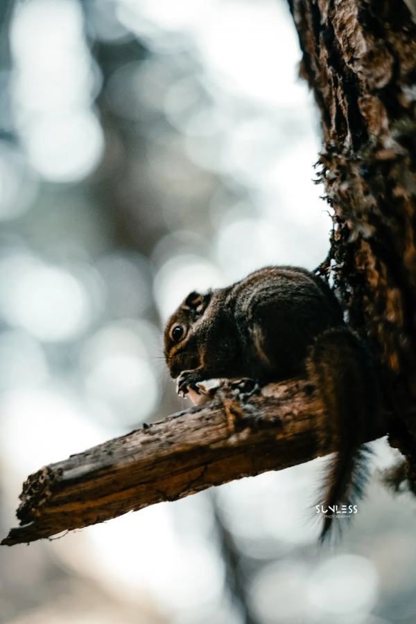 雲南西北,一個可以抵達的理想國 雲南西北,一個可以抵達的理想國