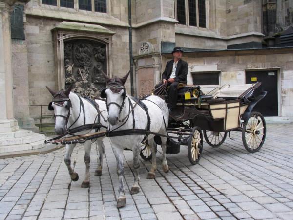 維也納之旅 維也納之旅