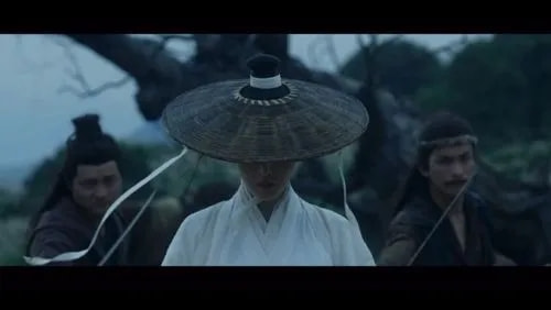 《悍刀行》5位女配，個個都是“神仙顏值”，張天愛演技碾壓女主