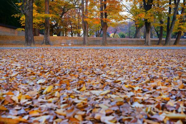 淡定從容，世事無常，心安即是歸處