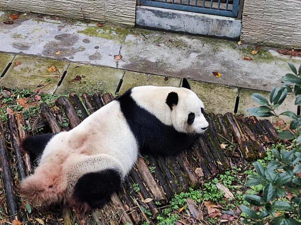 黔靈山公園，猴子不是唯一的亮點