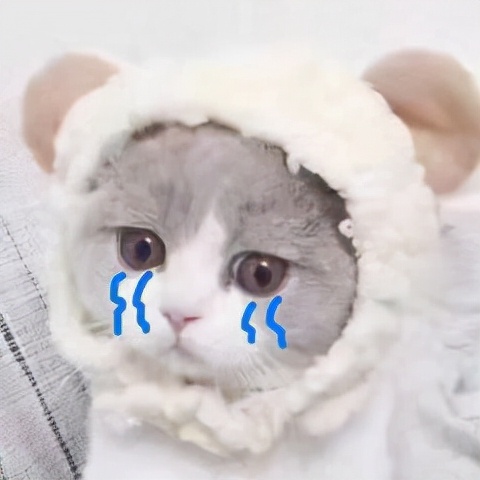 56歲肥胖、血脂高、肚腩大都佔全了!她還能瘦下來嗎? 56歲肥胖、血脂高、肚腩大都佔全了!她還能瘦下來嗎?