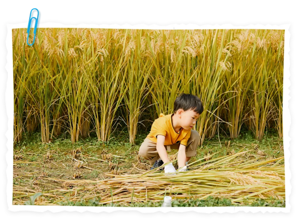 糕媽：生二胎前沒人會告訴你的事，今天發糕2歲了，我想來聊聊