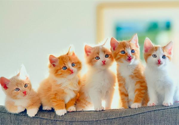 總是活在別人的“眼睛”裡的星座，活著活的就“丟了”自己