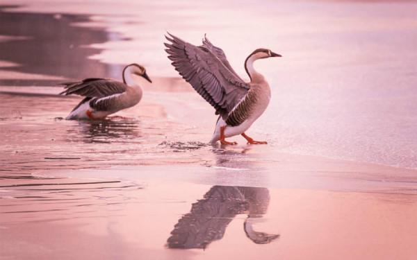 &OpenCurlyDoubleQuote;自律性&rdquo;特別強的星座，和他們生活在一起，再懶的人也會勤快