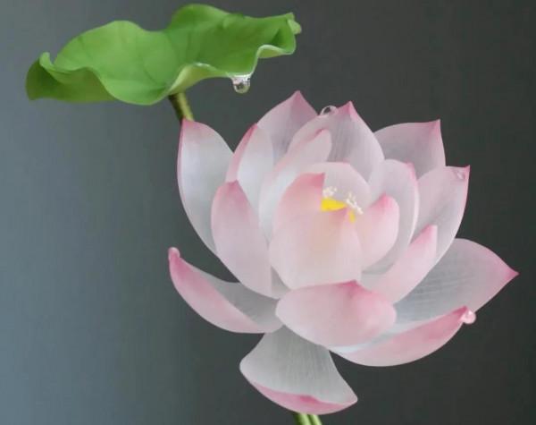 《道德經》高人，反其道而行之，無知，無慾，無求，故，有所成