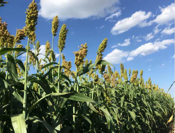 原子核科學不是交際花，而是穆桂英