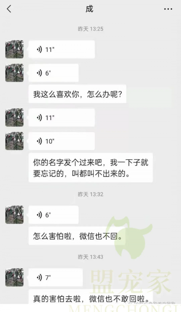 流浪狗慘遭人用鐵棍砸腿，眼睛也被木棍戳瞎，卻依然對人充滿善意