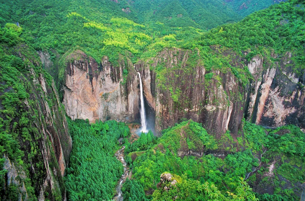 被賺錢耽誤的好好吃地方，一天能打11個飽嗝