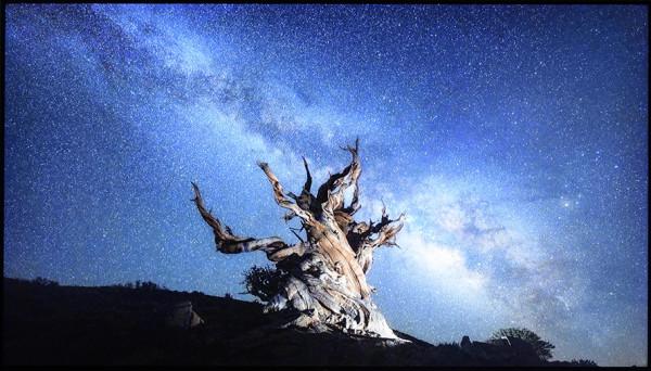 TCL 98英寸IMAX Enhanced巨幕智屏評測：把電影院搬回家