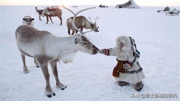 俄羅斯人不去黑海和歐洲，為何對三亞如此鍾情？