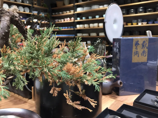 海淀北部這個超文藝的打卡地,藏不住了! 海淀北部這個超文藝的打卡地,藏不住了!