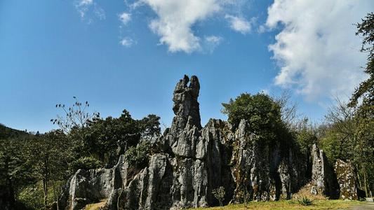 渣滓洞惡魔徐貴林,殘害一百八十餘名烈士,潛逃中買菜大媽識真兇 渣滓洞惡魔徐貴林,殘害一百八十餘名烈士,潛逃中買菜大媽識真兇