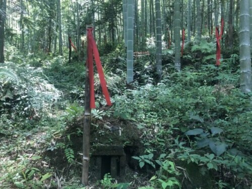 1343座無名豐碑,埋藏在深山中的紅軍醫院…… 1343座無名豐碑,埋藏在深山中的紅軍醫院……