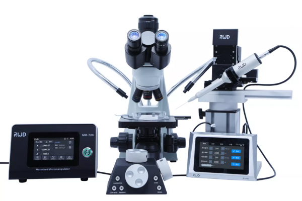 線蟲顯微注射如何操作？超詳細實驗步驟快來碼住