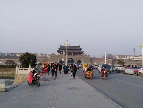 家庭餵養寵物犬的利與弊