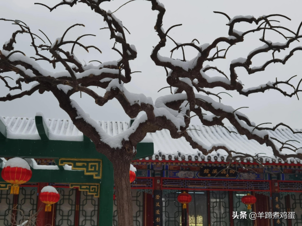 難覽觀園全畫景 雪覆臘梅一隅香&mdash;&mdash;踏雪尋遊北京大觀園